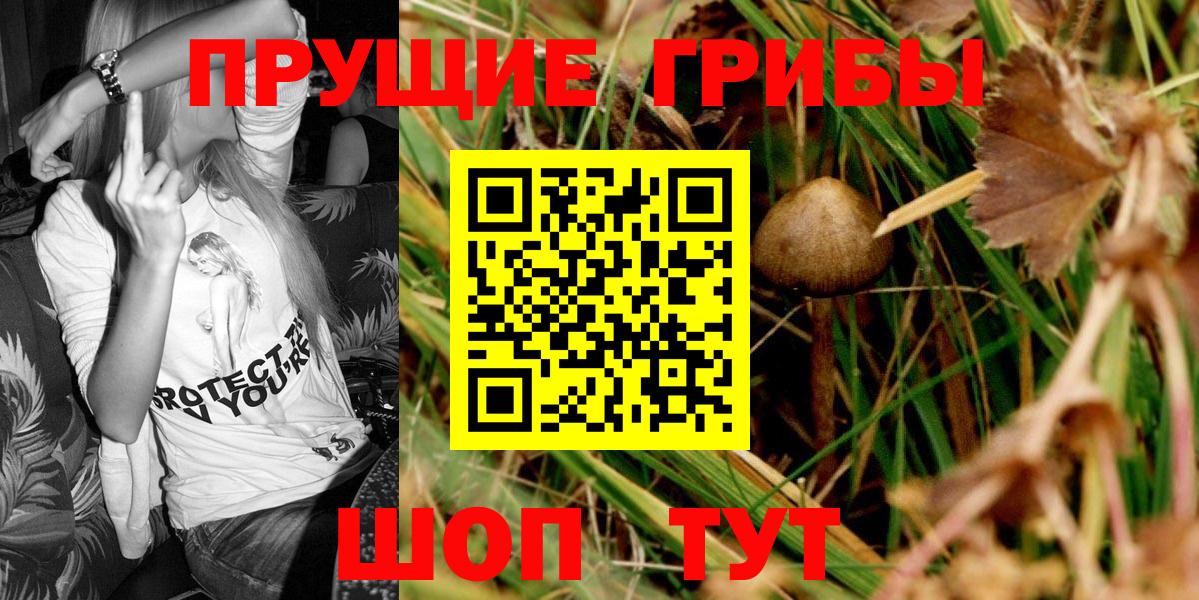 Галлюциногенные грибы ЛСД Вичуга