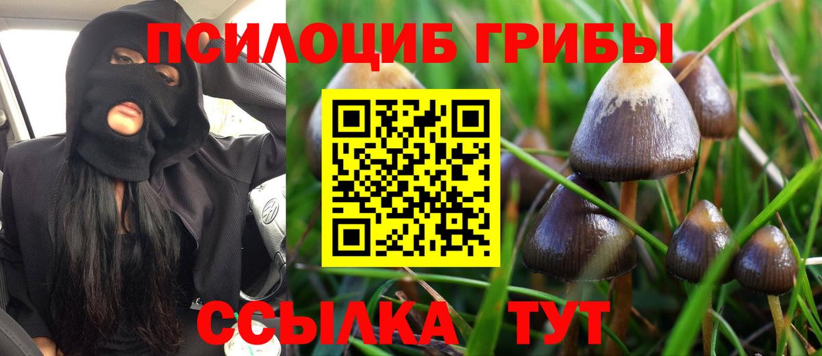 Псилоцибиновые грибы мухоморы  Вход с VPN  Галлюциногенные грибы прущие грибы  Вичуга 